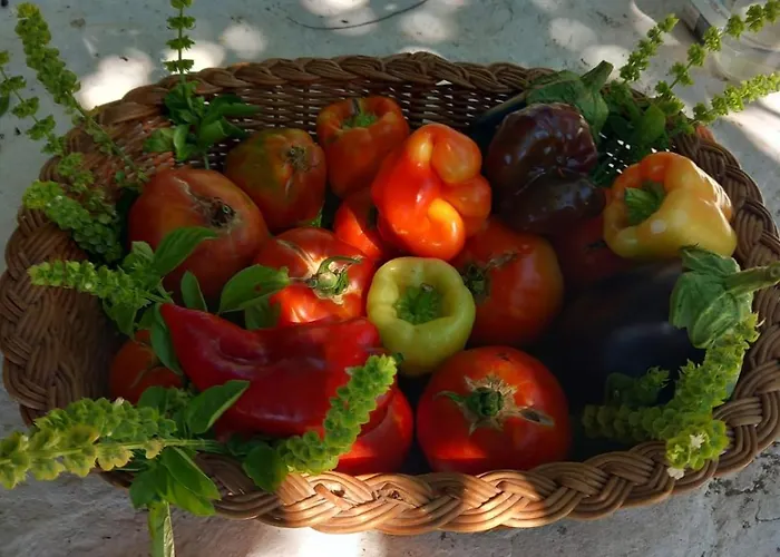 Pomalovilla At Gradina Cove * Vela Luka